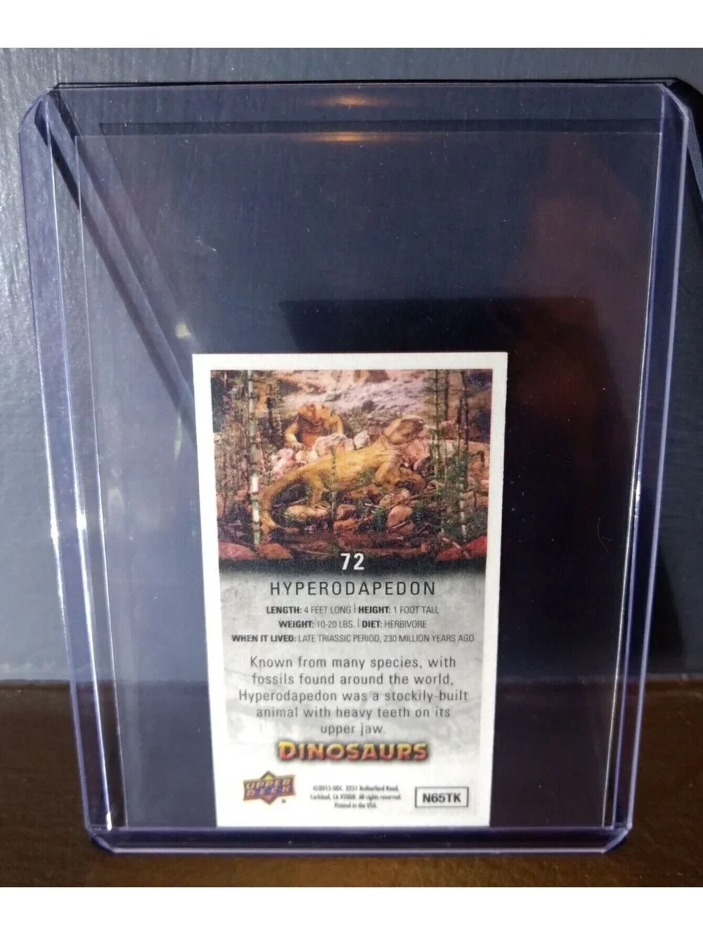 2015 Upper Deck Dinosaurs Canvas Mini Hyperodapedon #72 Trading Card